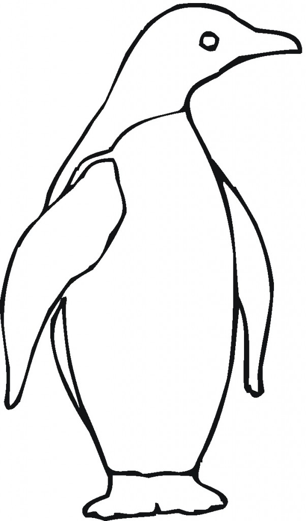 Penguin Coloring Page for Kids Animal Place