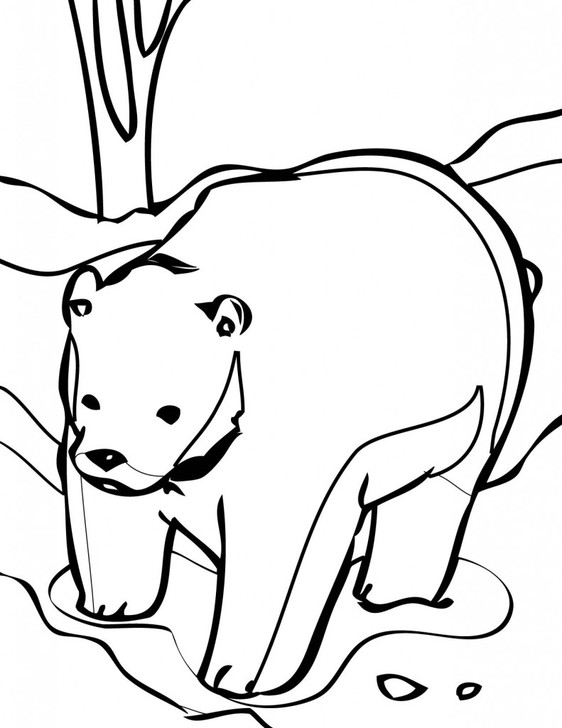 Polar Bear Coloring Page Photo – Animal Place
