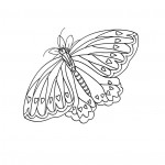 Printable Butterfly Coloring Pages Picture