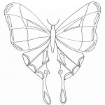 Picture of Printable Butterfly Coloring Pages