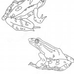 Printable Frog Coloring Page Picture