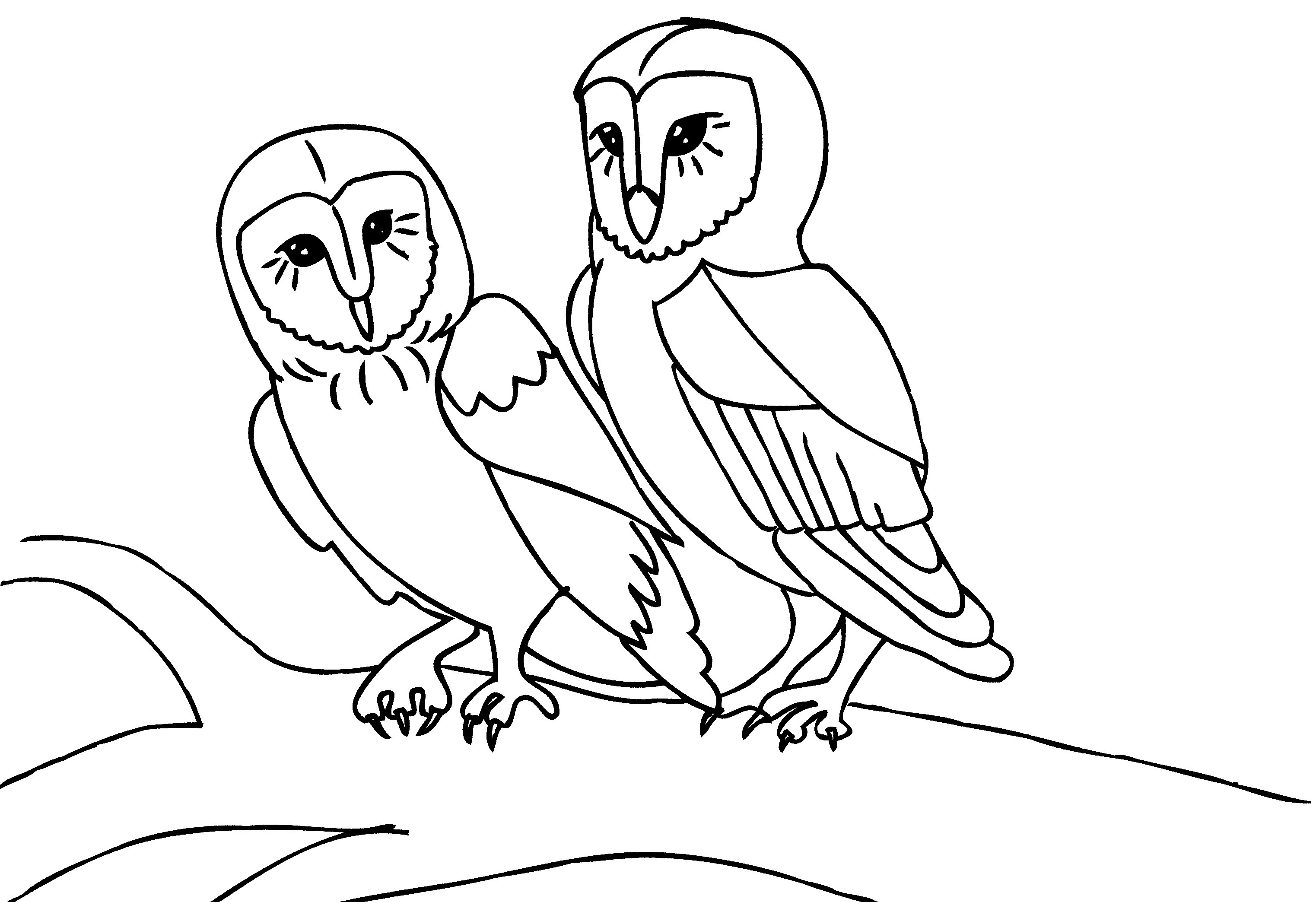 Free Printable Owl Coloring Pages For Kids