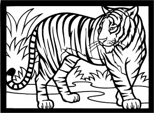printable tiger coloring page image  animal place