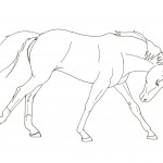 Running Horse Coloring Pages Photo