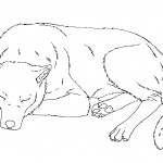 Sleeping Dog Coloring Page Picture