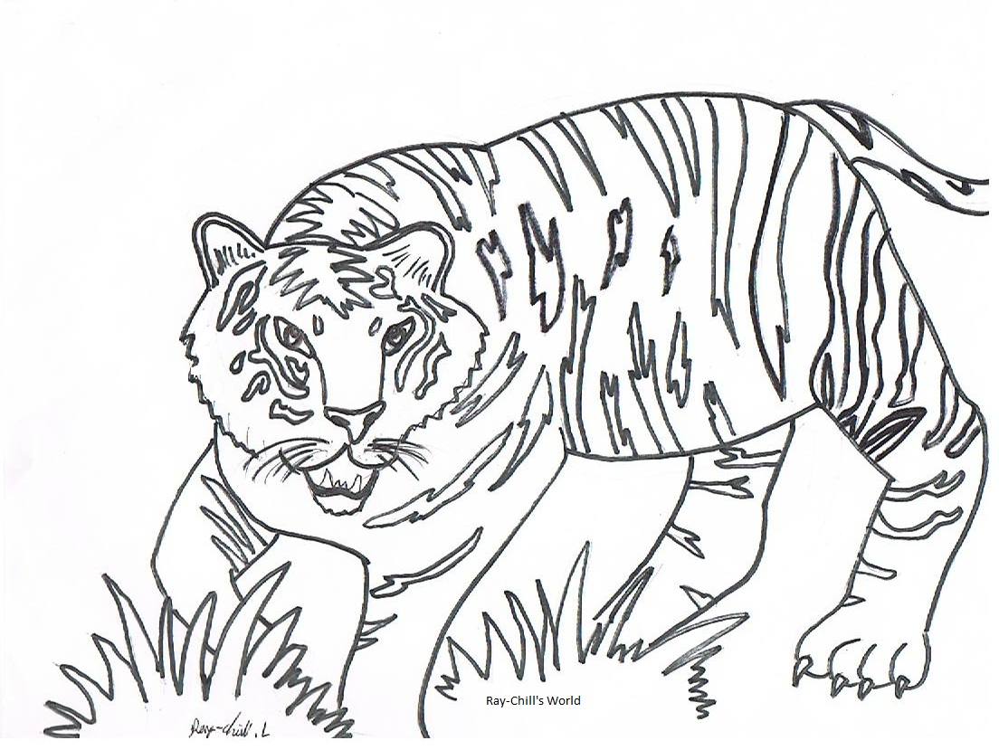 Free Printable Tiger Coloring Pages For Kids - Animal Place