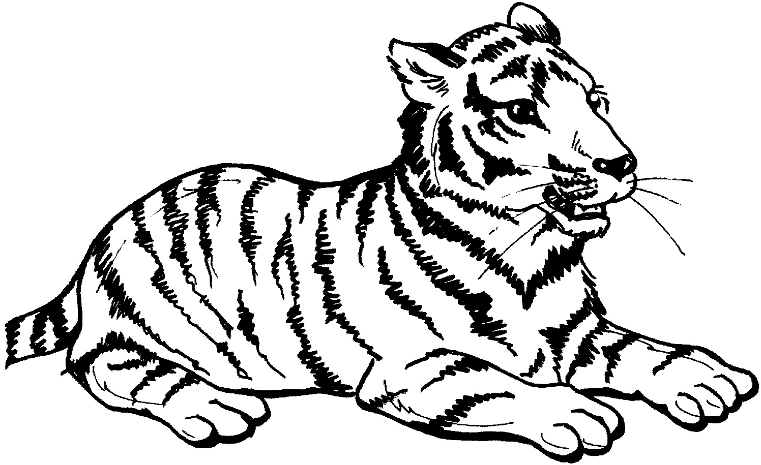 Free Printable Tiger Coloring Pages For Kids