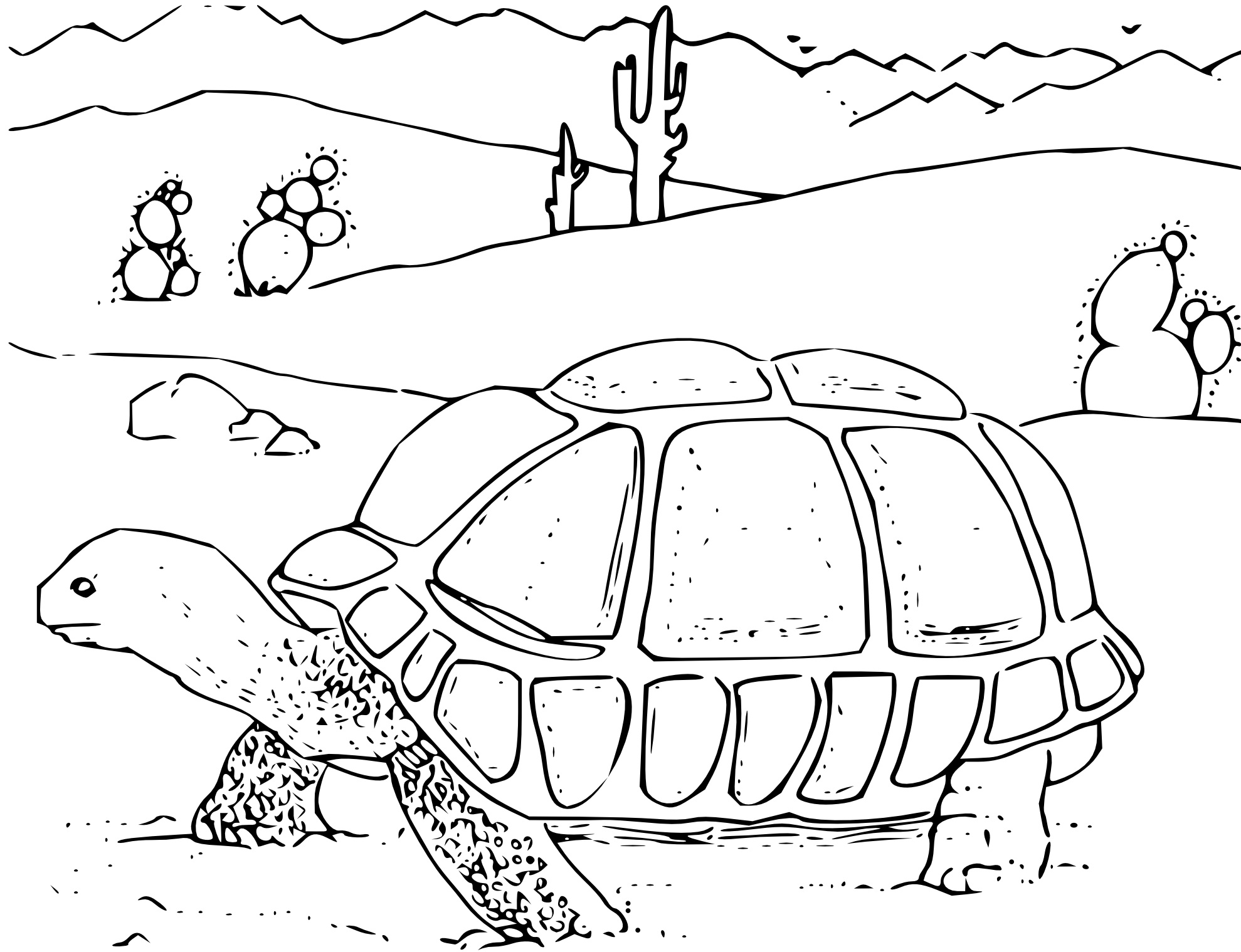 Free Printable Turtle Coloring Pages For Kids