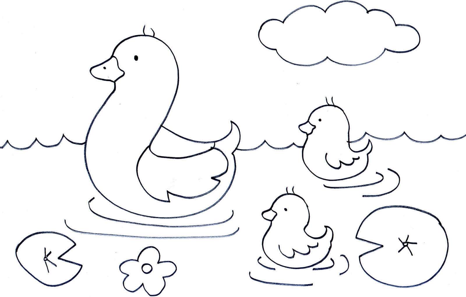 Baby Duck Coloring Page – Animal Place