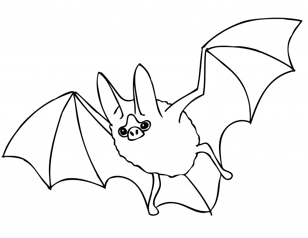 bat-coloring-page-for-kids-image-animal-place