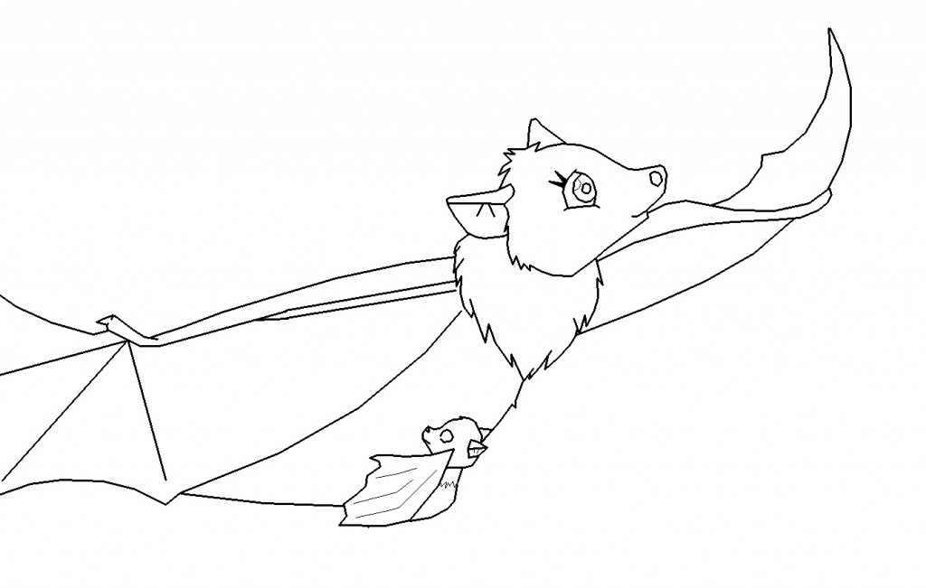 Bat Coloring Pages Pictures – Animal Place