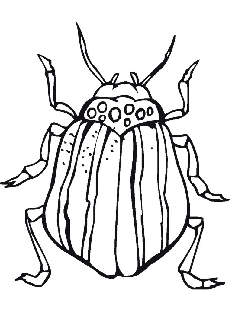 Bug Coloring Page Pictures – Animal Place