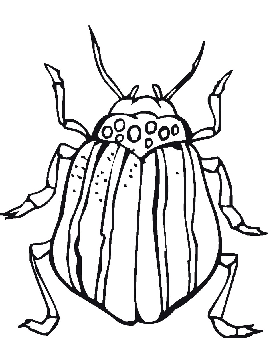 bug-coloring-page-pictures-animal-place