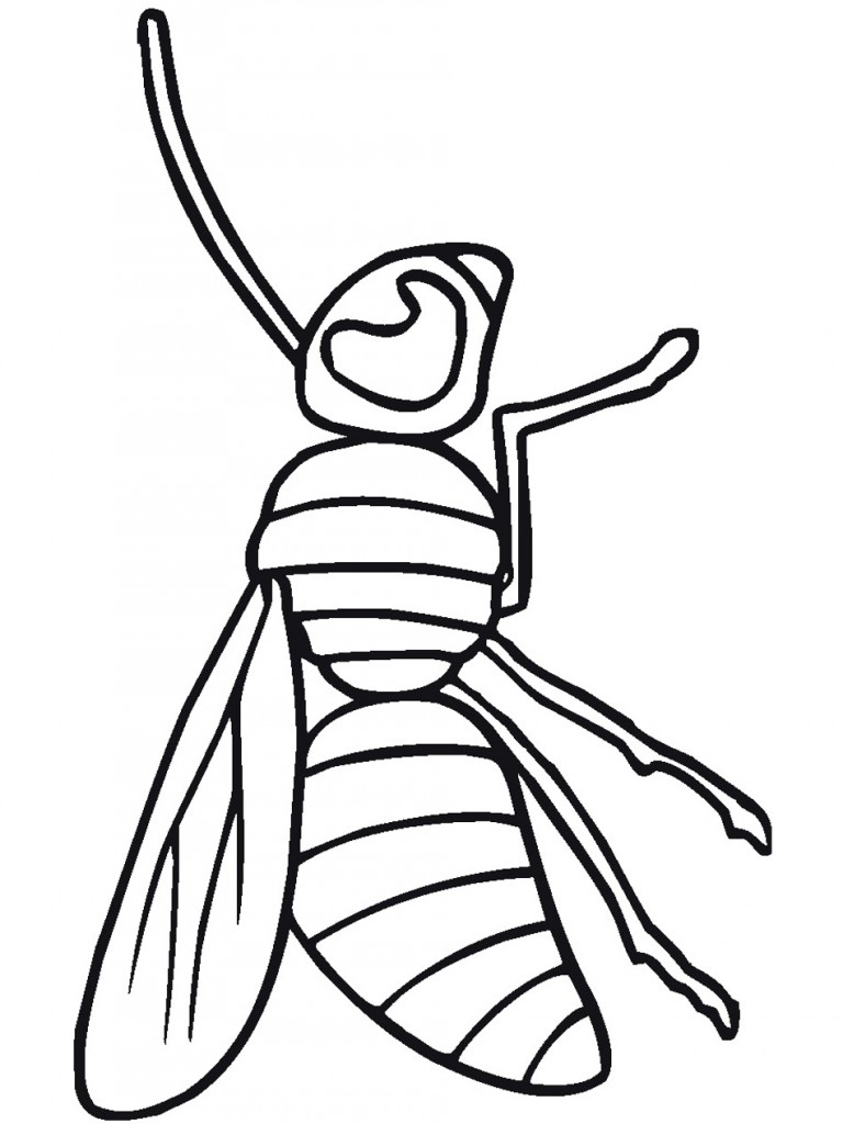 Bug Coloring Page for Kids Animal Place