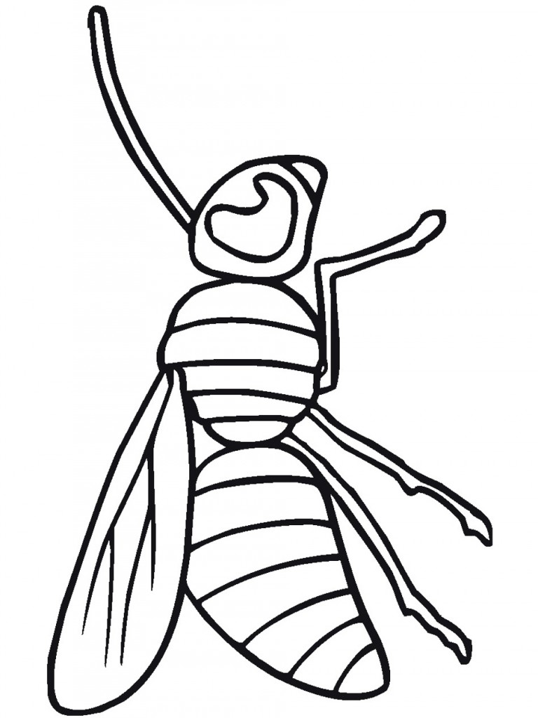 Bug Coloring Page for Kids – Animal Place