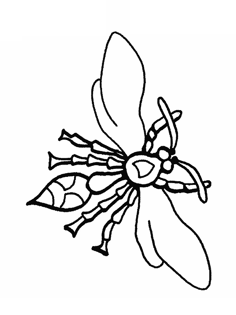 Bug Coloring Page for Kids Picture – Animal Place