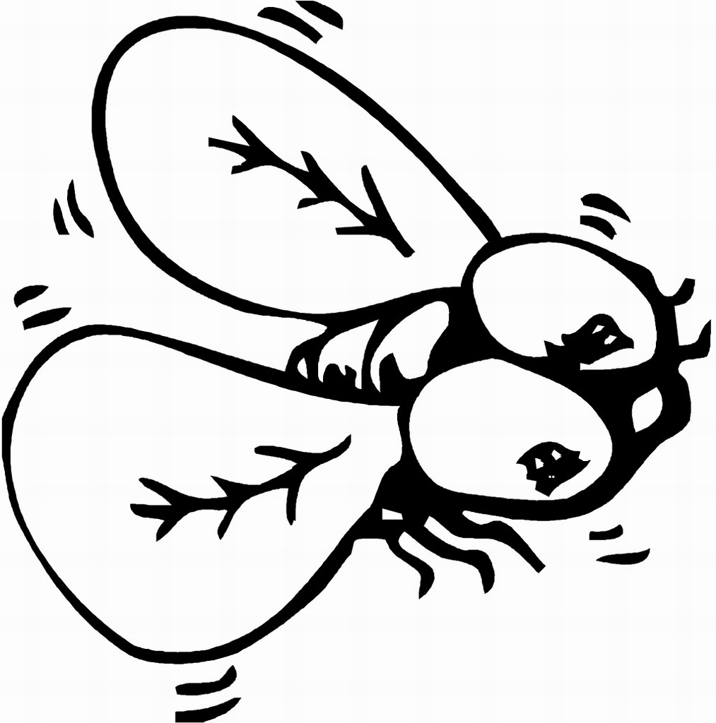 Free Printable Bug Coloring Pages For Kids