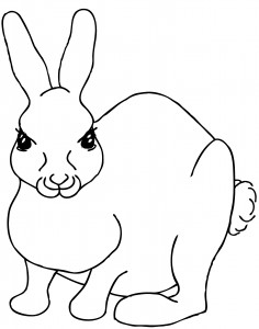 Bunny Rabbit Coloring Pages Photo – Animal Place