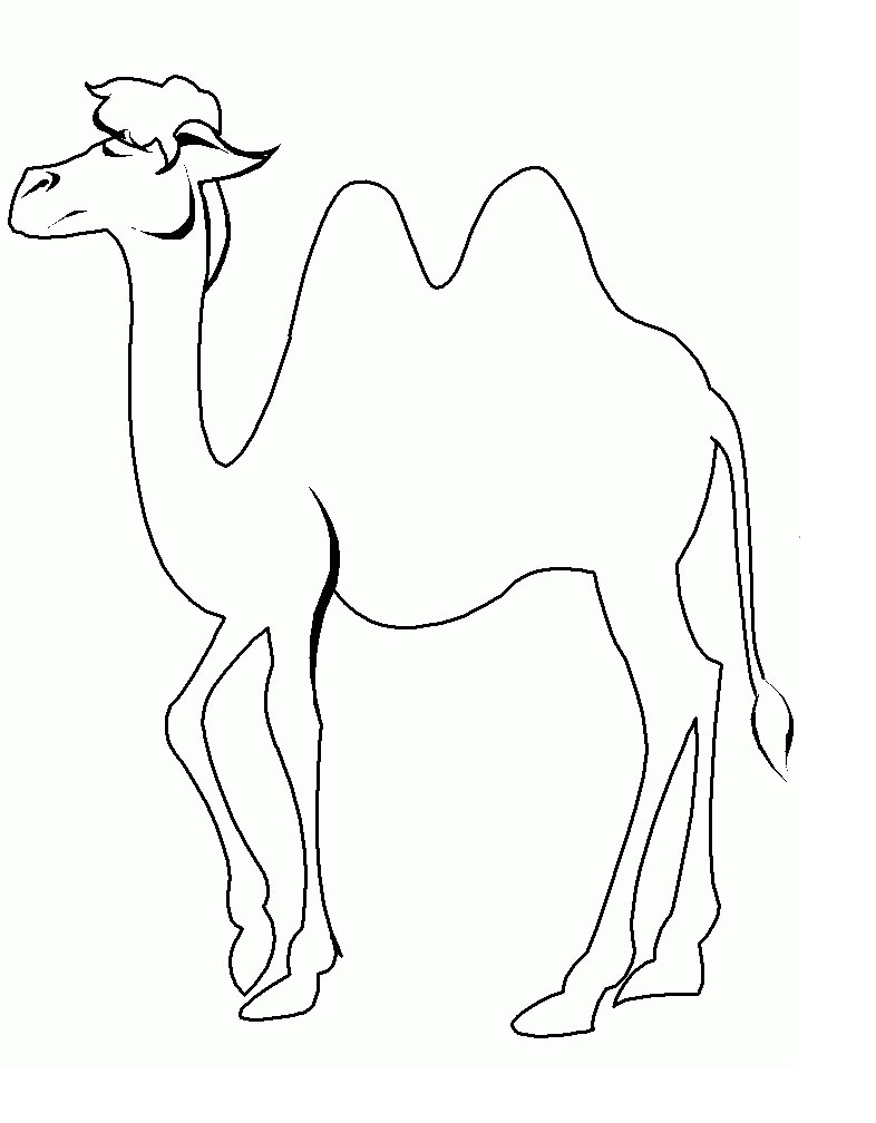 Free Printable Camel Coloring Pages For Kids | Animal Place