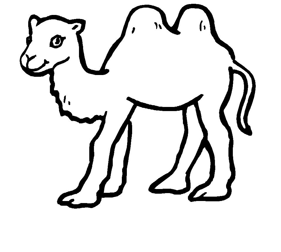 Free Printable Camel Coloring Pages For Kids Animal Place