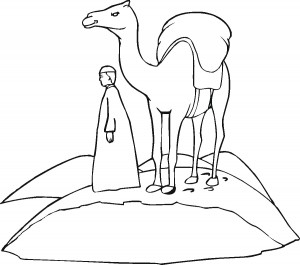 Camel Coloring Pages for Kids Image – Animal Place