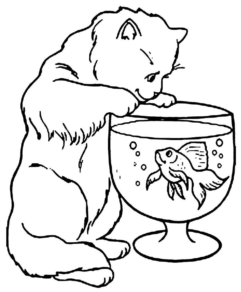 Cat Coloring Page Pictures – Animal Place