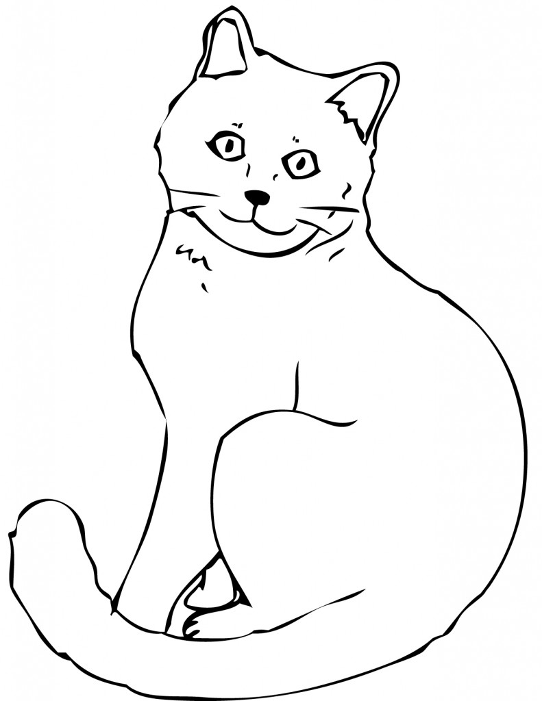 Cat Coloring Page for Kids Photos - Animal Place