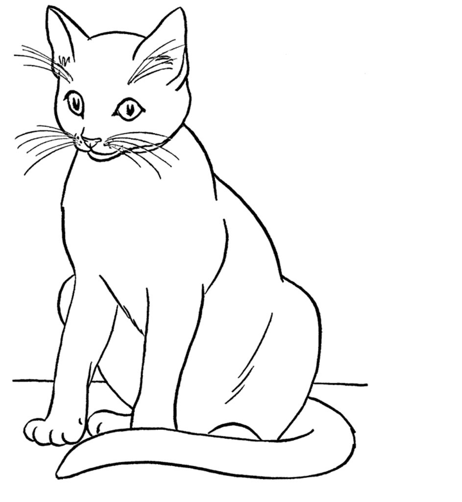 Cat Coloring Pages Photo – Animal Place