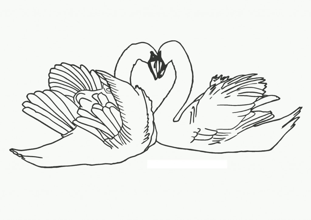 Coloring Page of Duck Images – Animal Place