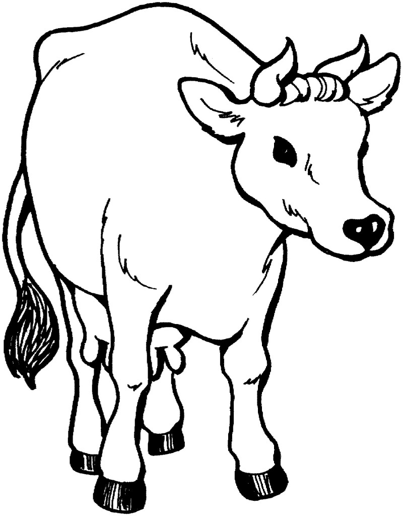 Coloring Pages Cow – Animal Place
