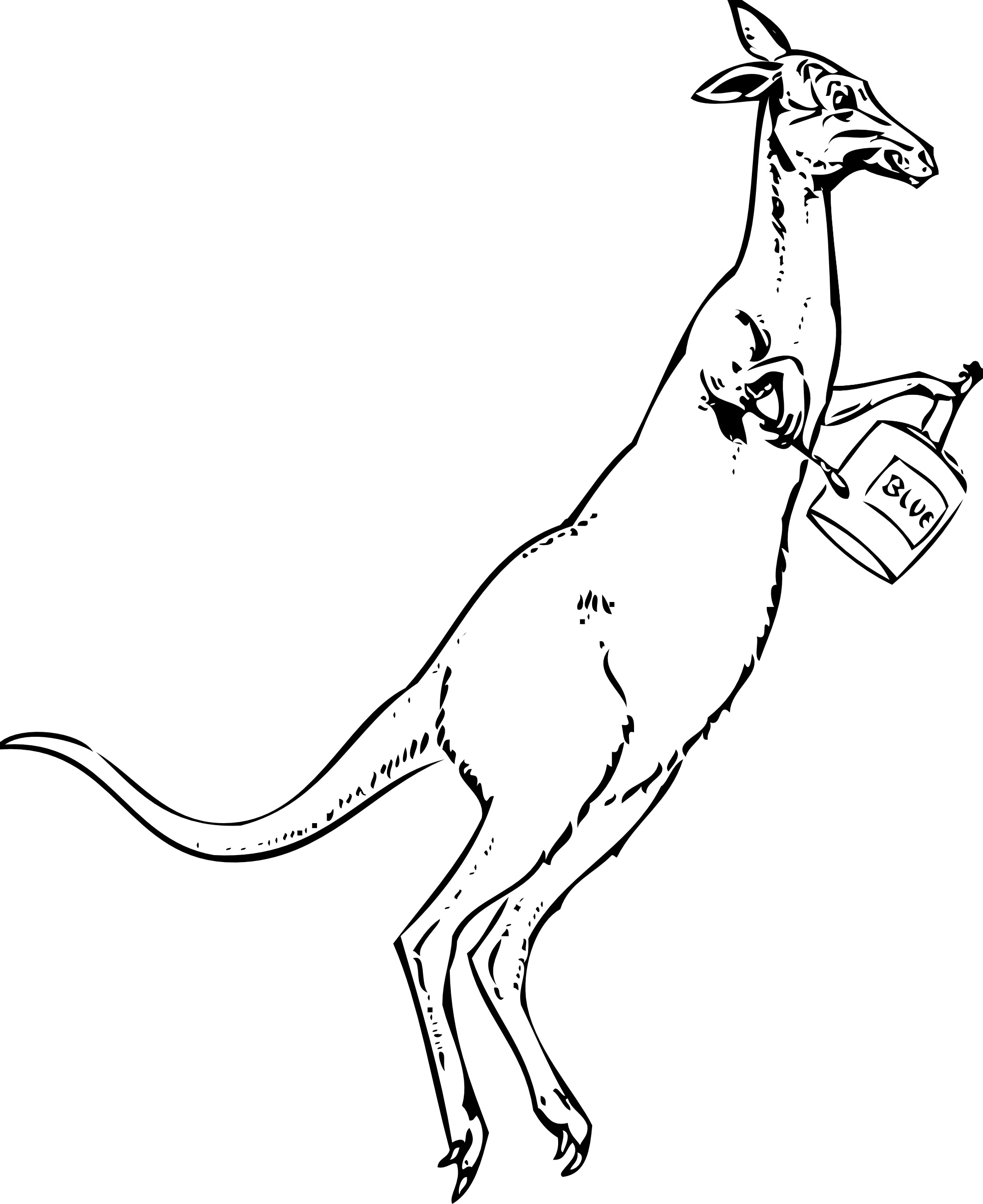 Download Free Printable Kangaroo Coloring Pages For Kids | Animal Place