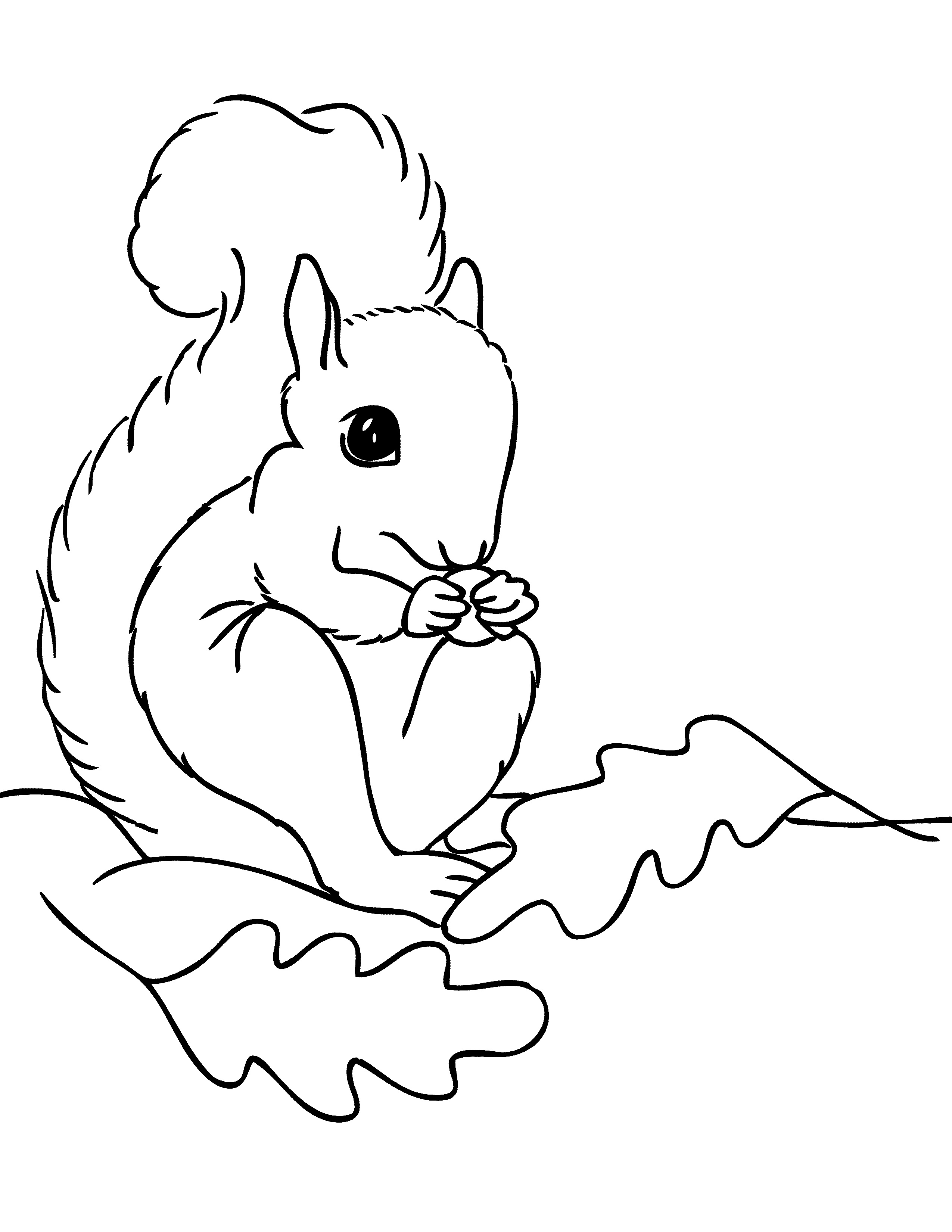 Free Printable Squirrel Coloring Pages For Kids - Animal Place