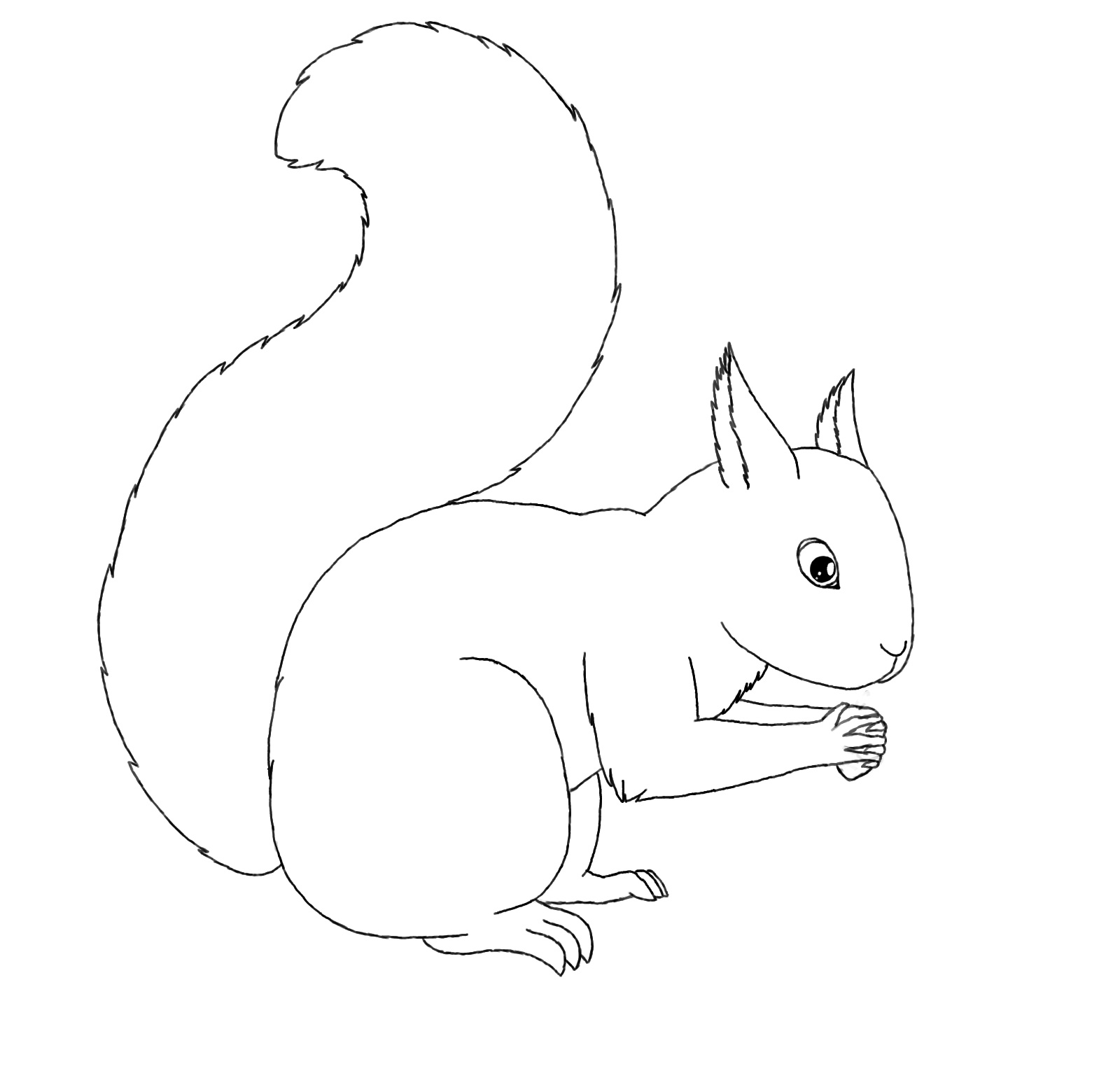 Free Printable Squirrel Coloring Pages For Kids - Animal Place