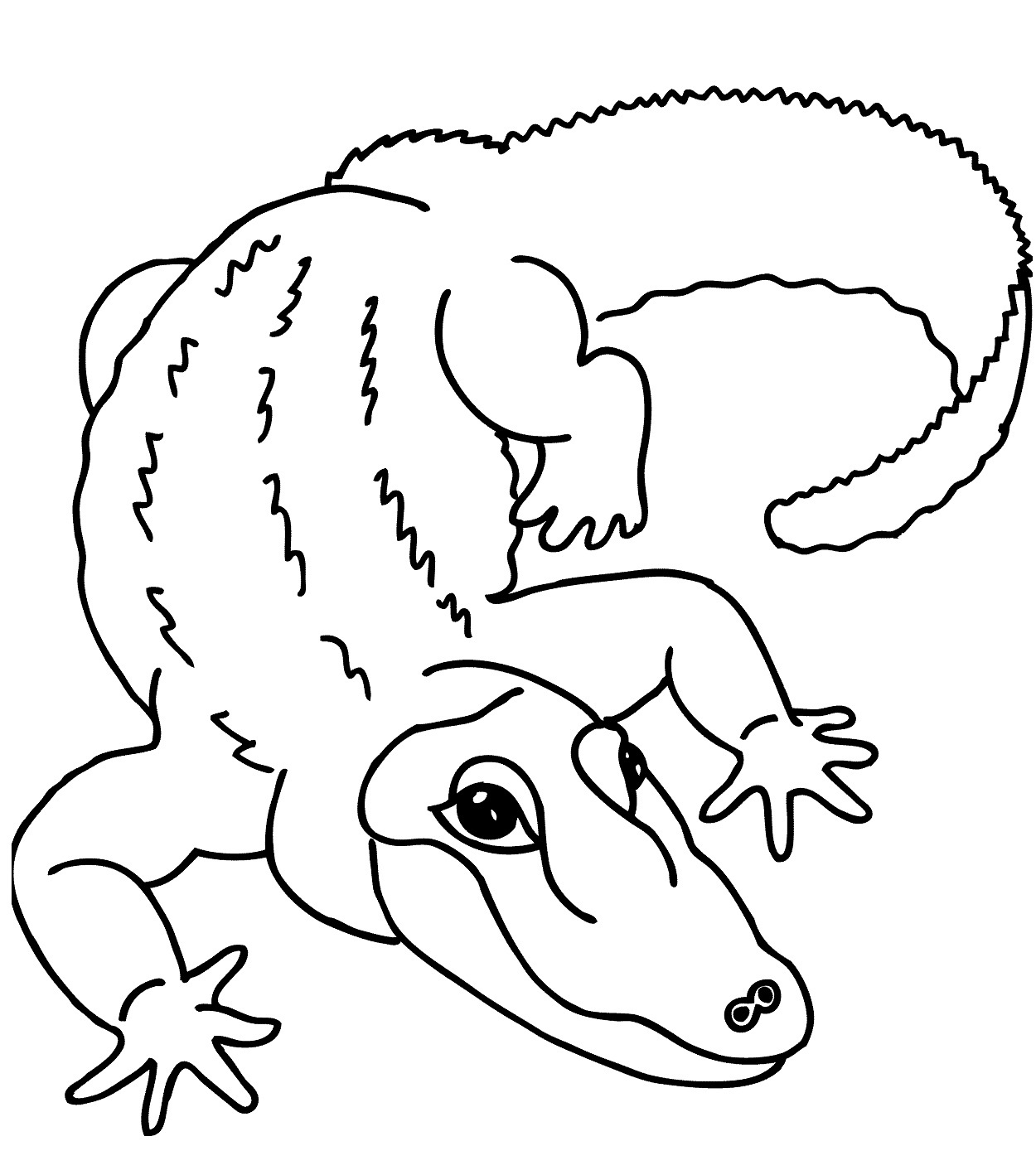 Free Printable Alligator Coloring Pages For Kids