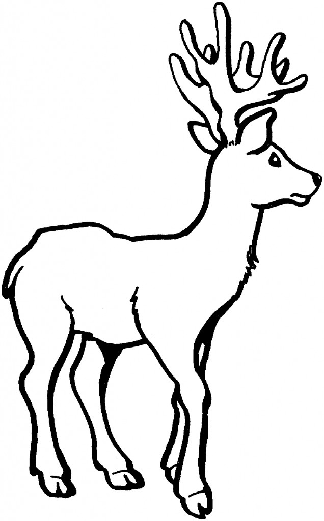 Coloring Pages of Deer Image – Animal Place