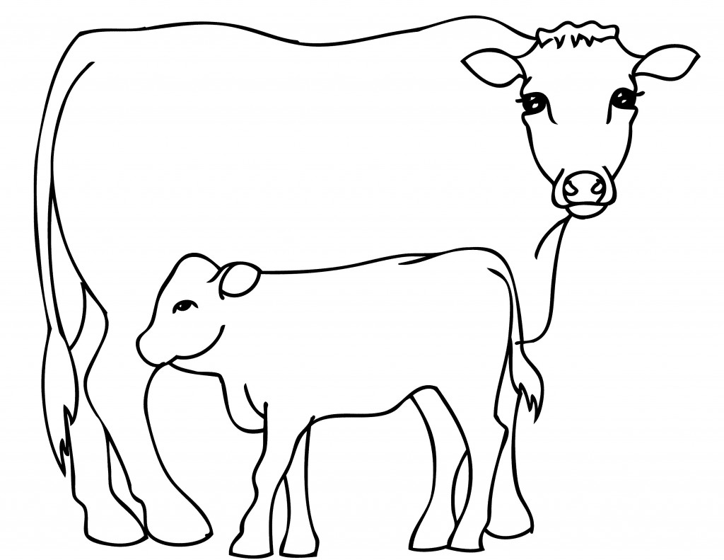 Cow Coloring Page Photo – Animal Place