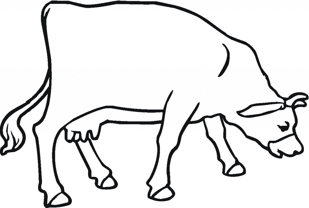 Cow Coloring Page for Kids Photo – Animal Place