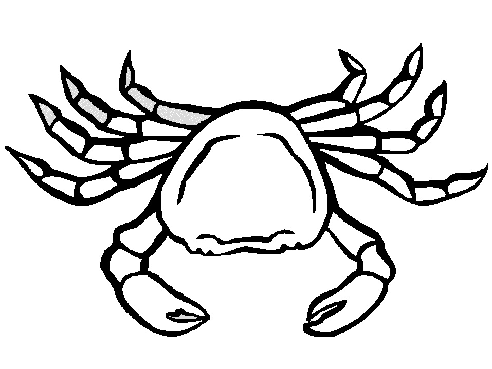 Free Printable Crab Coloring Pages For Kids - Animal Place