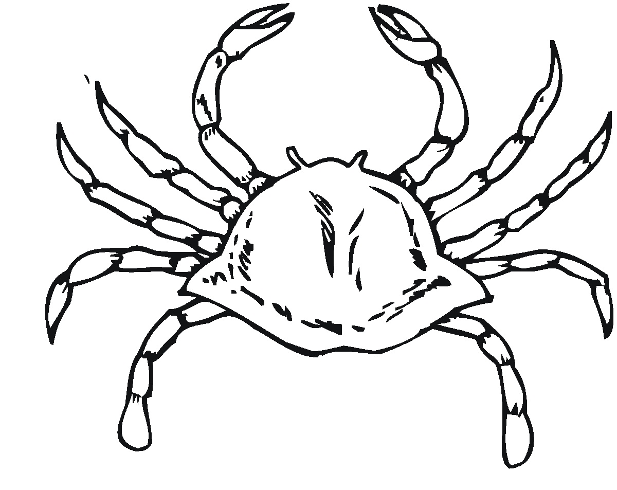 Free Printable Crab Coloring Pages For Kids - Animal Place