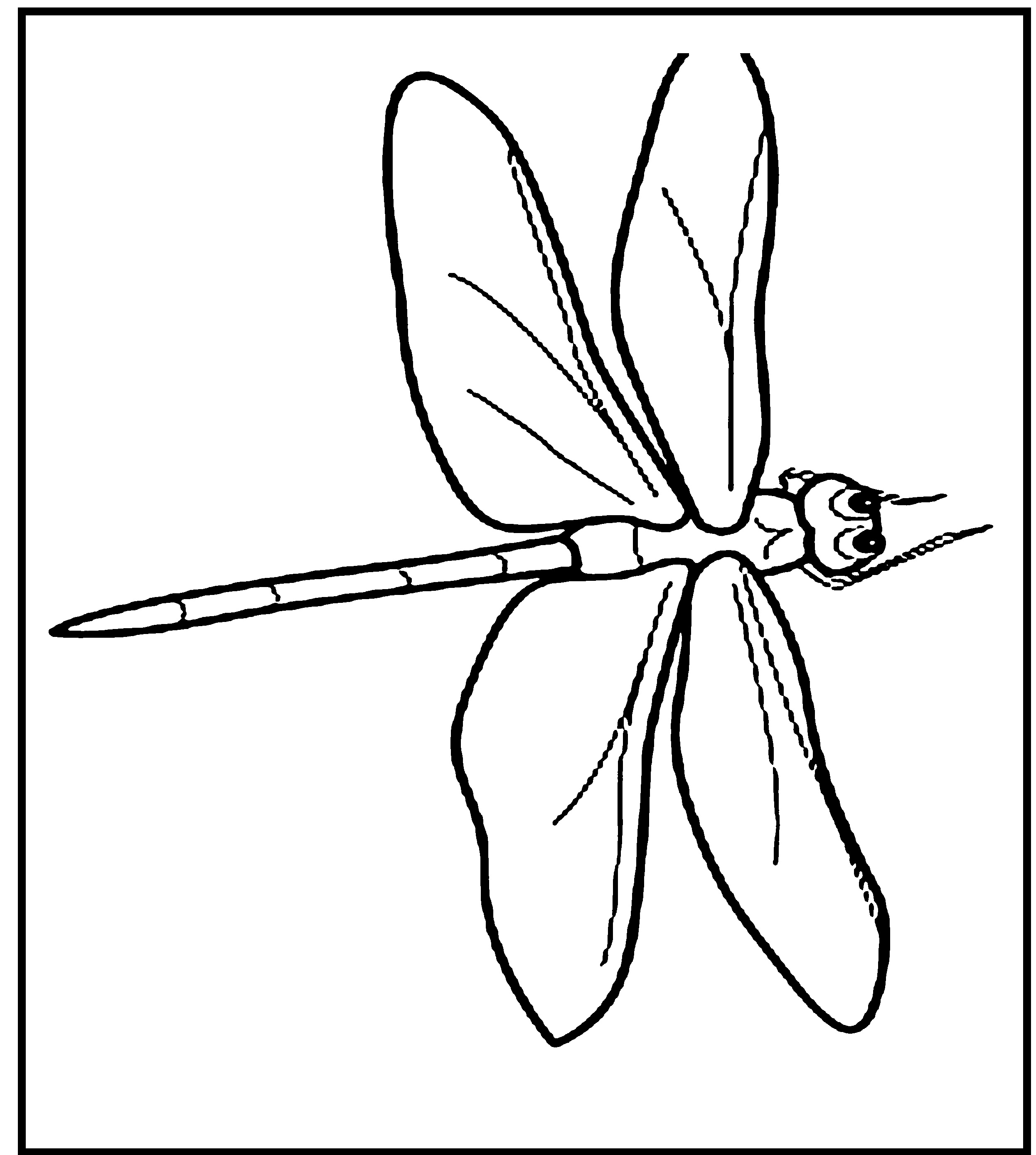 Free Printable Dragonfly Coloring Pages For Kids Animal Place