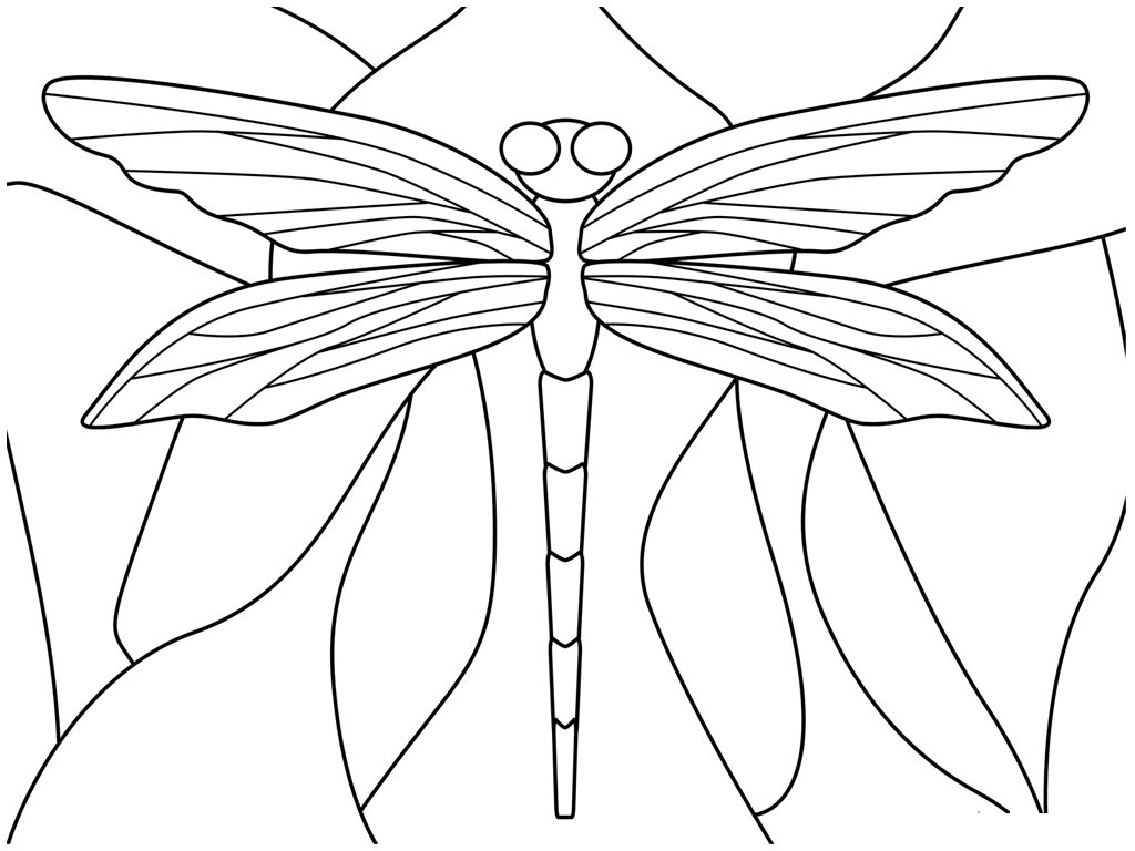 Free Printable Dragonfly Coloring Pages For Kids - Animal Place