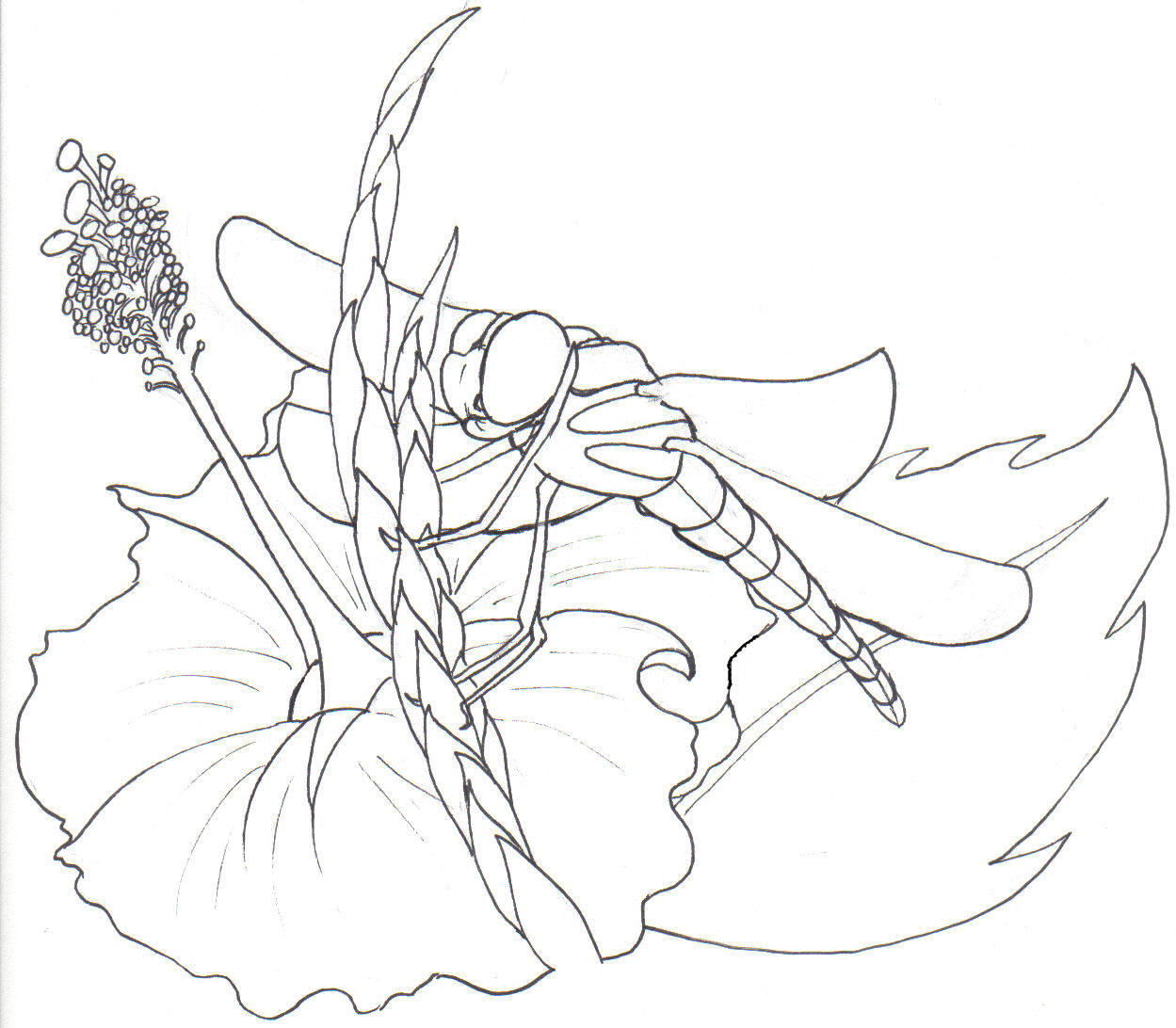 Free Printable Dragonfly Coloring Pages For Kids - Animal Place