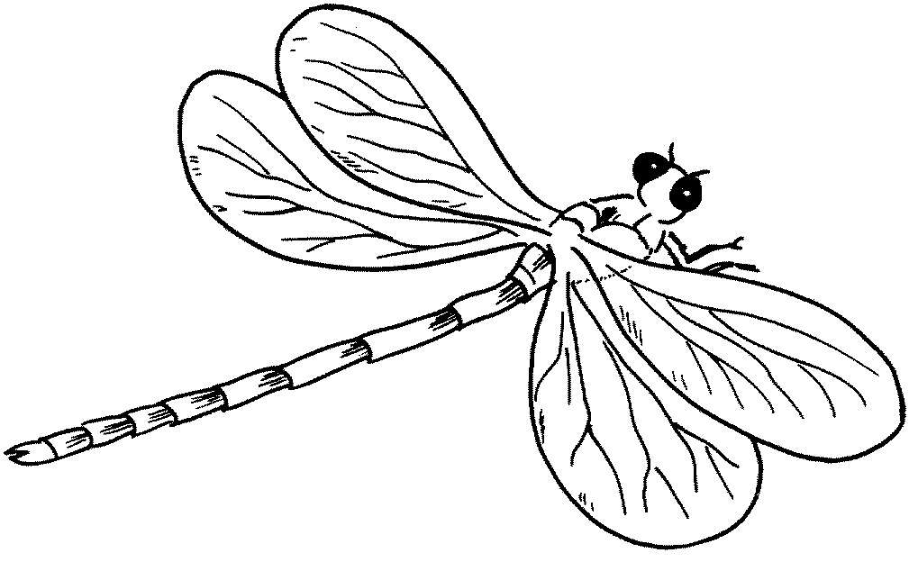 Free Printable Dragonfly Coloring Pages For Kids