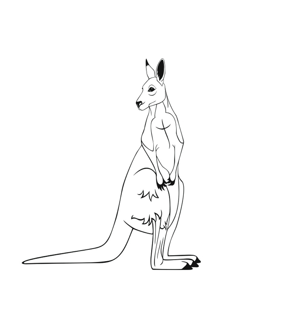 Download Free Printable Kangaroo Coloring Pages For Kids | Animal Place