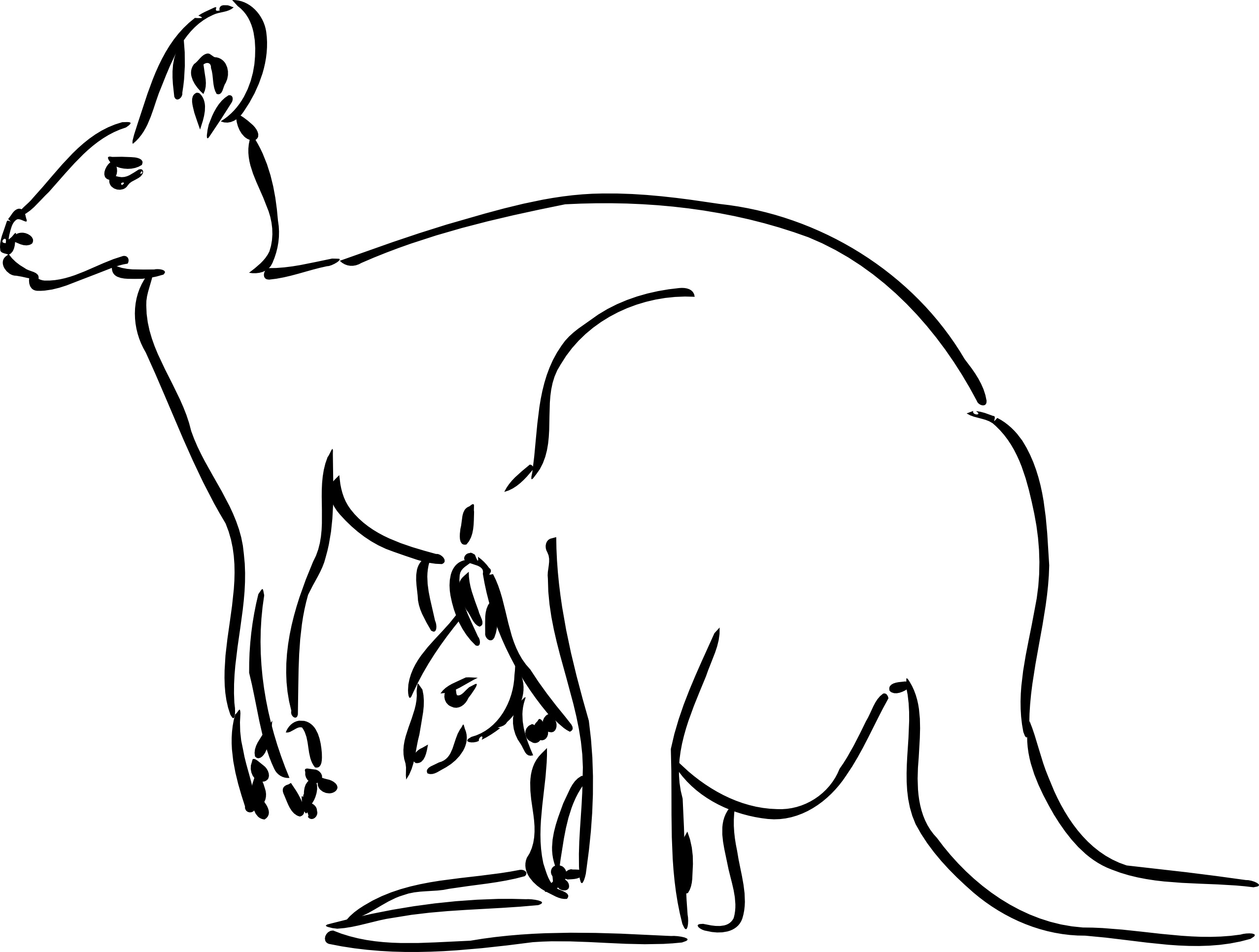 free-printable-kangaroo-coloring-pages-for-kids-animal-place