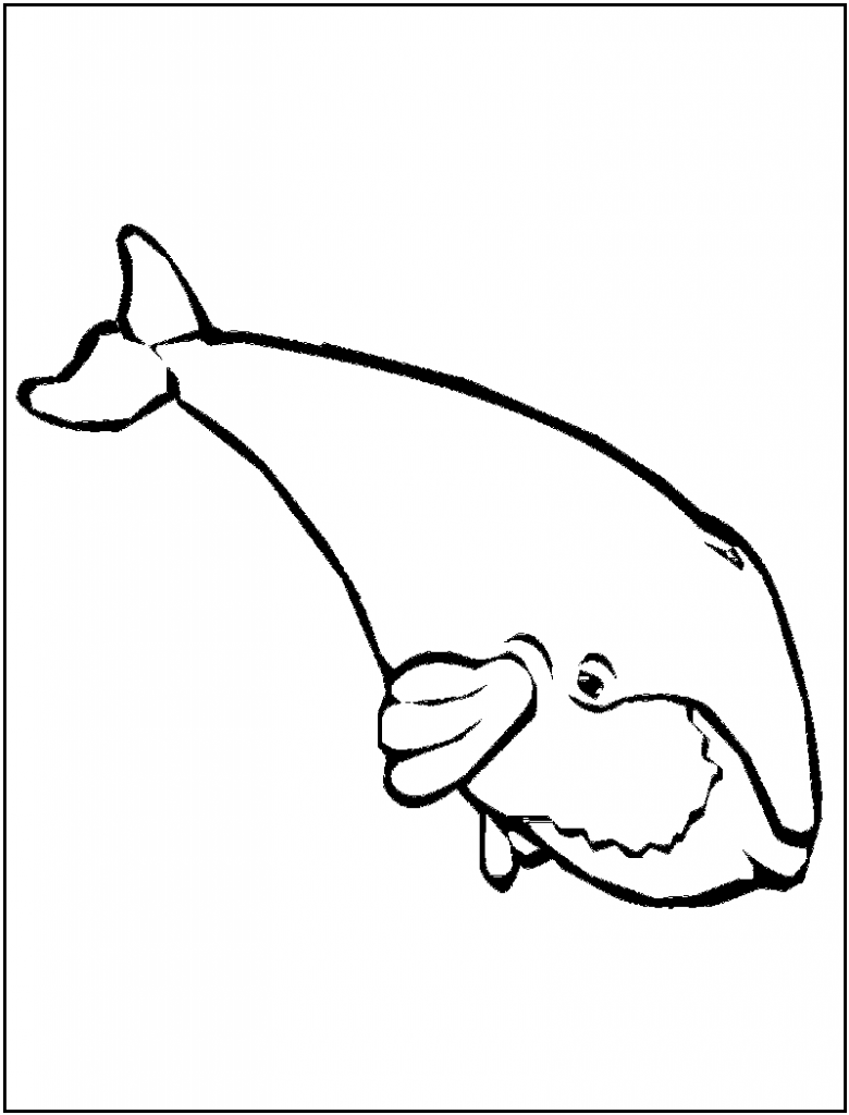 Killer Whale Coloring Pages Pictures – Animal Place