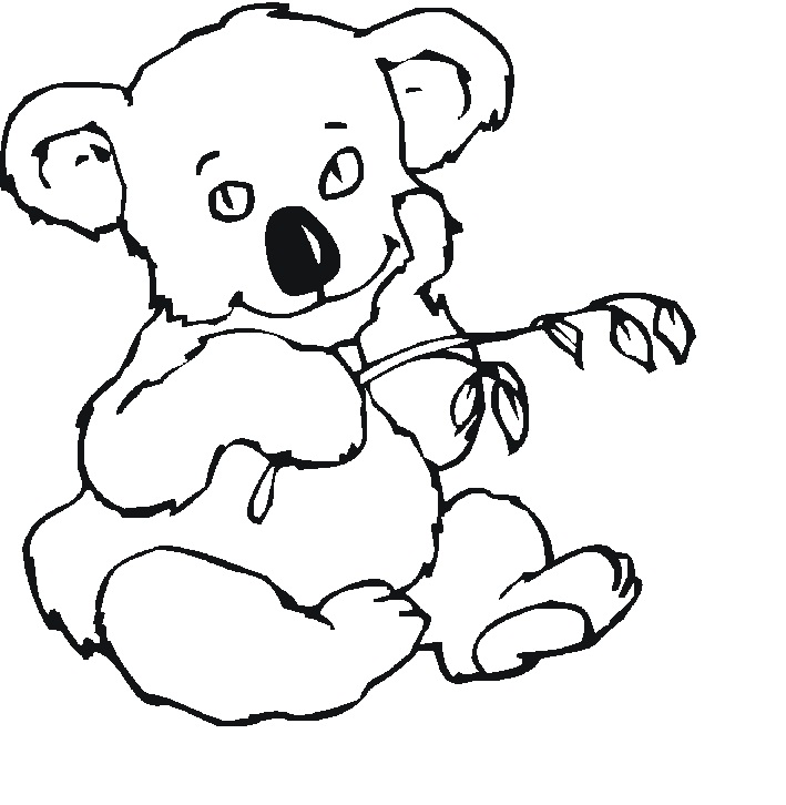 Free Printable Koala Coloring Pages For Kids - Animal Place