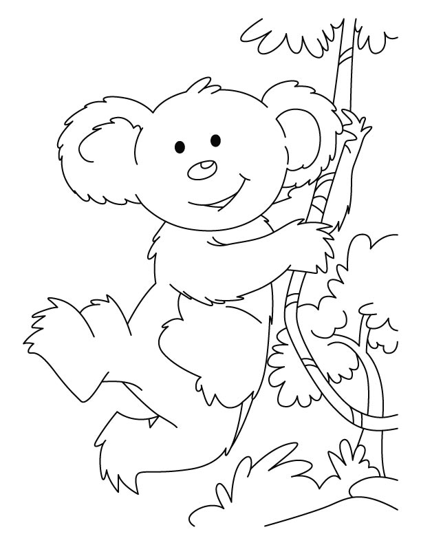 Free Printable Koala Coloring Pages For Kids - Animal Place