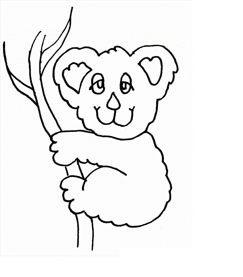 Download Free Printable Koala Coloring Pages For Kids | Animal Place