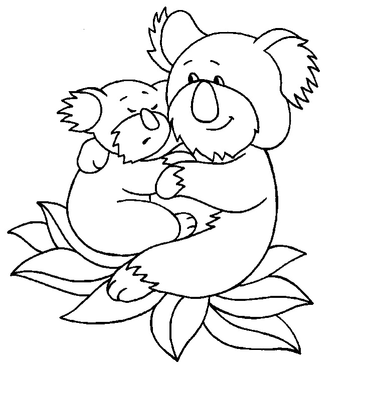 Download Free Printable Koala Coloring Pages For Kids | Animal Place